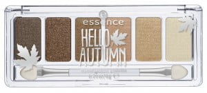 palette Hello Autumn Essence