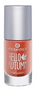 nail polishes Hello Autumn Essence