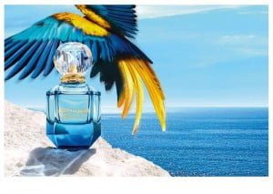 Roberto Cavalli Paradiso Azzurro
