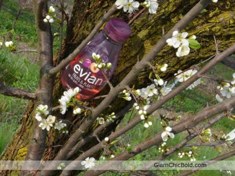 Evian Prugna e Citronette
