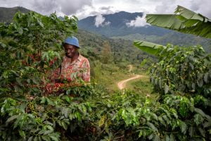 Reviving Origins Nespresso